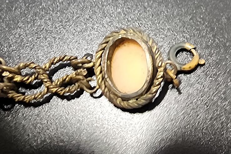 Antique Victorian Shell Cameo Bracelet - 5 Hand-Carved Cameos in Ornate Brass Bezels